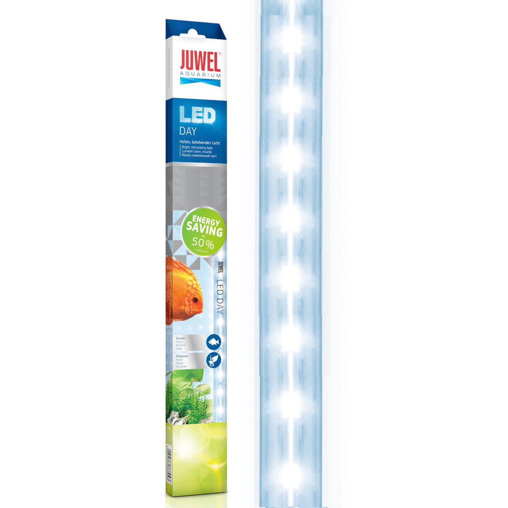 bez LED W DAY..jpg